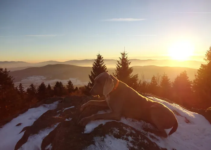 酒店 Berggasthof Eck *